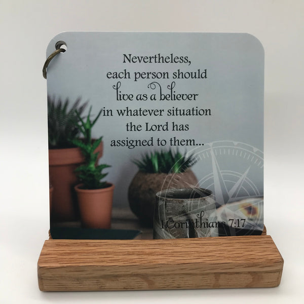A scripture card with 1 Corinthians 7:17 printed over a colorful photograph of succulents in orange pots.