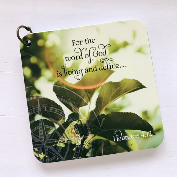 Hebrews 4:12 printed over a photo of a green plant. Daily scripture card.