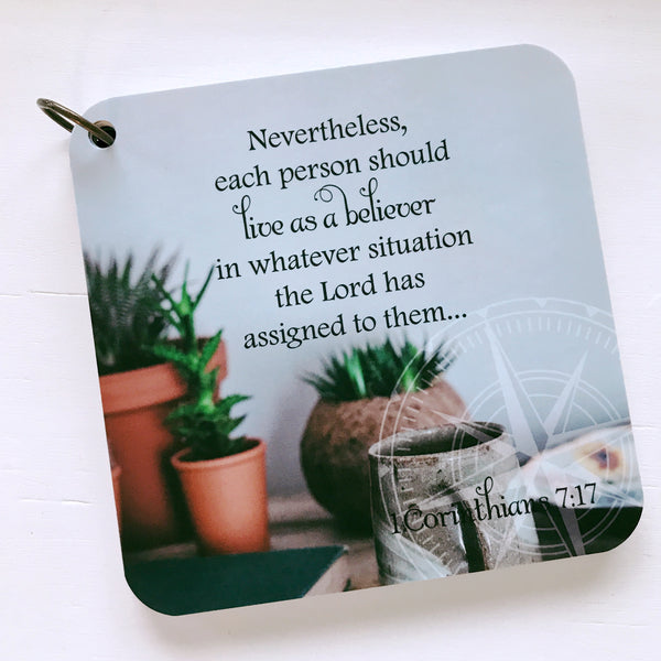 1 Corinthians 7:17 printed over a photo of succulents in pots. Daily Bible study card.