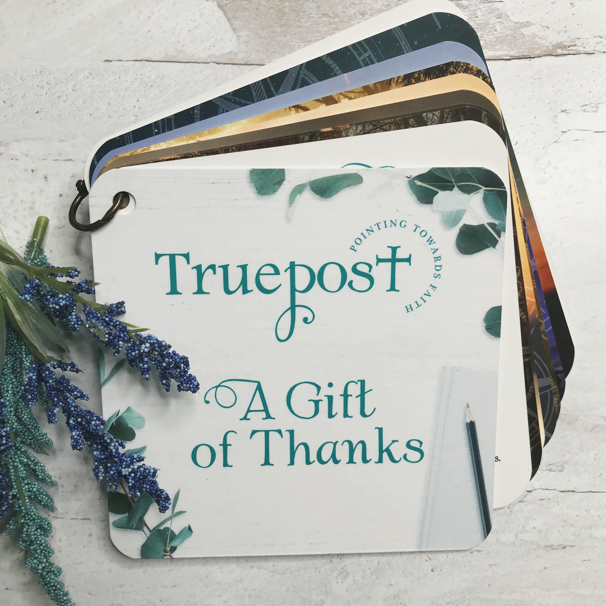 A Gift of thanks scripture devotional card set with photo of greenery.