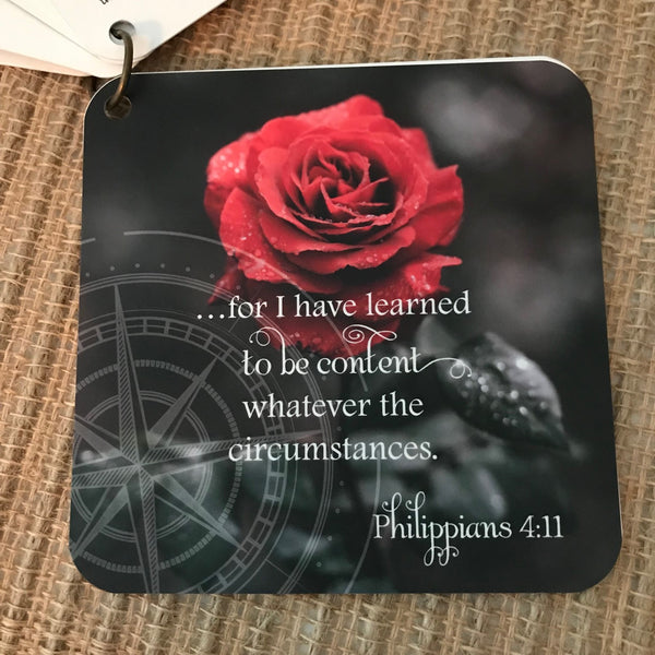Scripture card of Philippians 4:11 I have learned to be content printed over a photo of a red rose with black background.