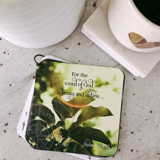 A lifestyle photo of a scripture devotional card set laying on a kitchen counter with a cup of coffee and lower pot. The scripture printed on the card is Hebrews 4:12 printed over a photo of a gorgeous green plant with a compass rose etched in the background.
